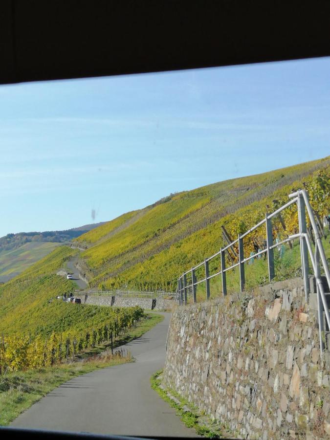 Weingut Licht-Stadtfeld Brauneberg Esterno foto